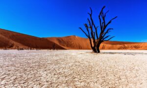Read more about the article From Desert To Coast: A Journey Through Namibia’s Best Hidden Gems 